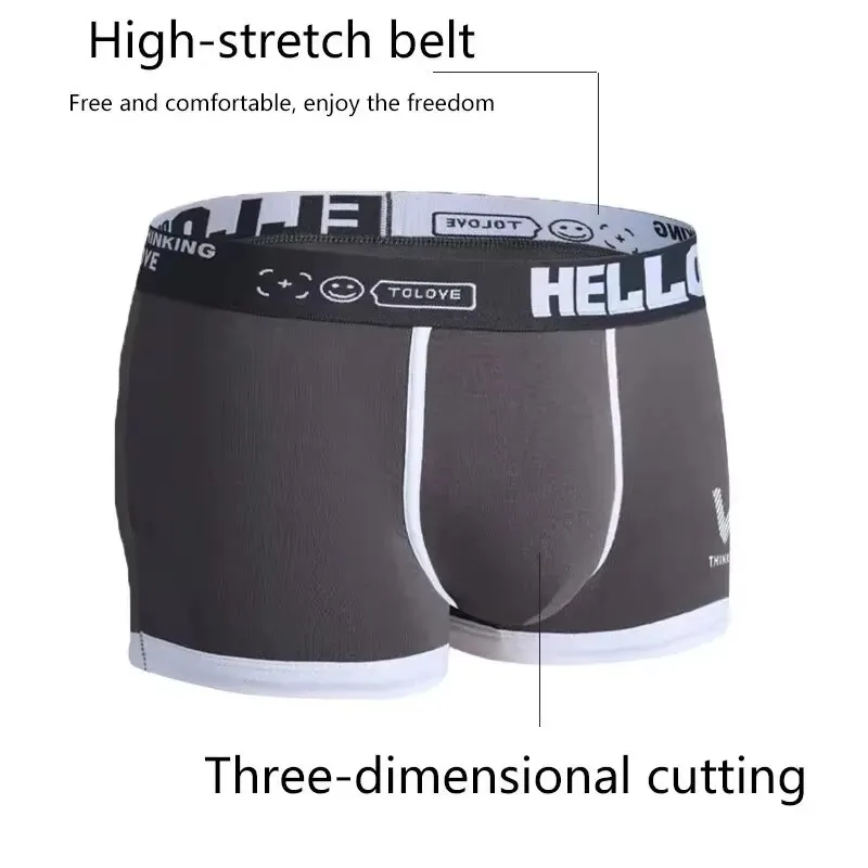 Men's Underwear Cotton Underwe – Boxer Brief Pack Cotton recenzja i cena