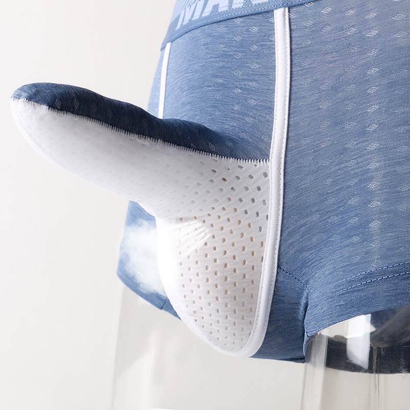 Men's Ice Silk Boxer Briefs, B – Mesh Sport Boxer recenzja i cena