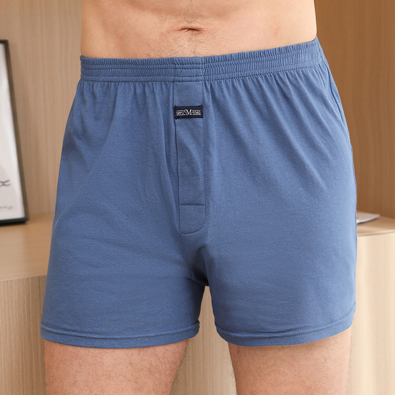 1PCS Men's Underwear Aro Pants – Boxer Brief Pack Cotton recenzja i cena